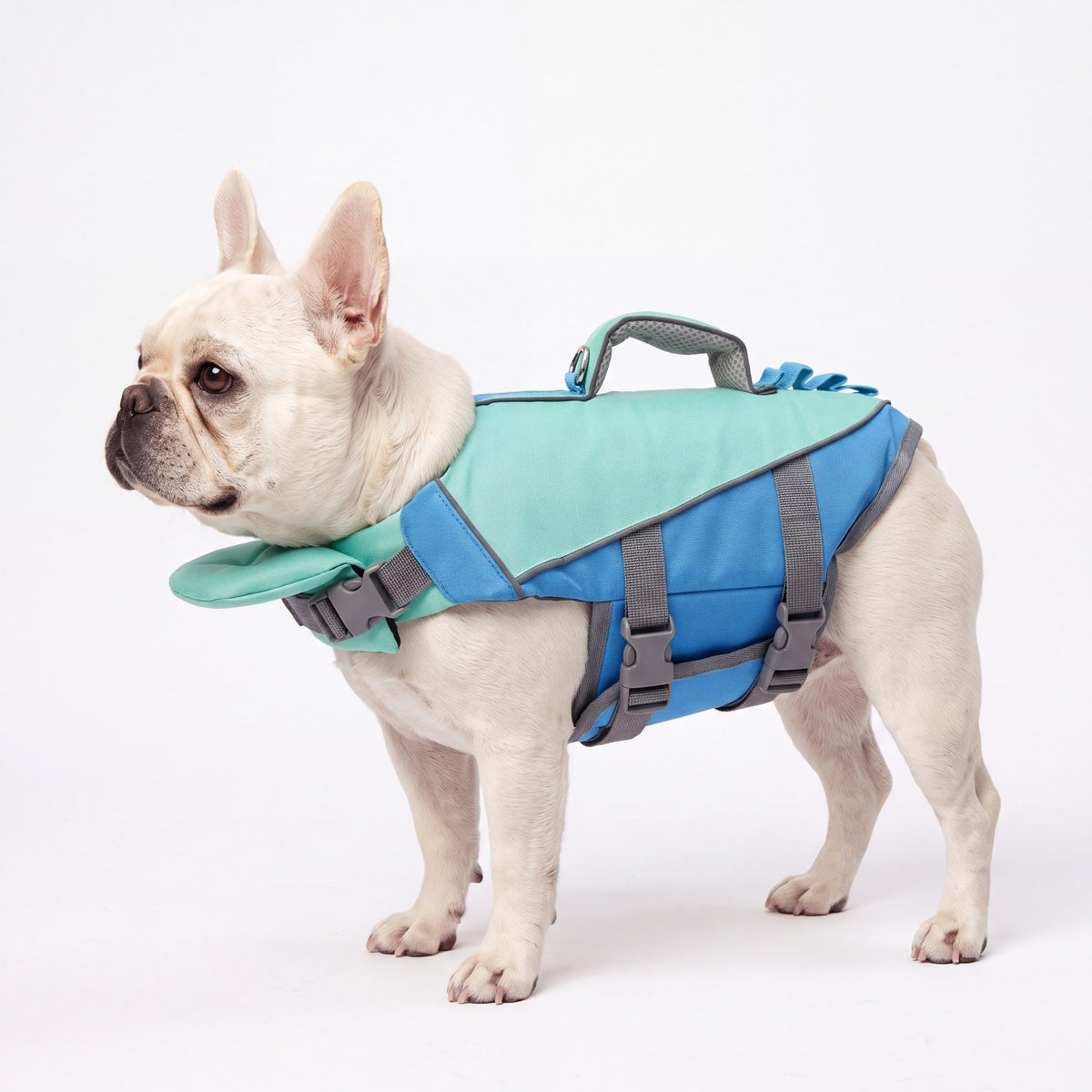 AquaPaw Life Jacket - Blue - AI product shot