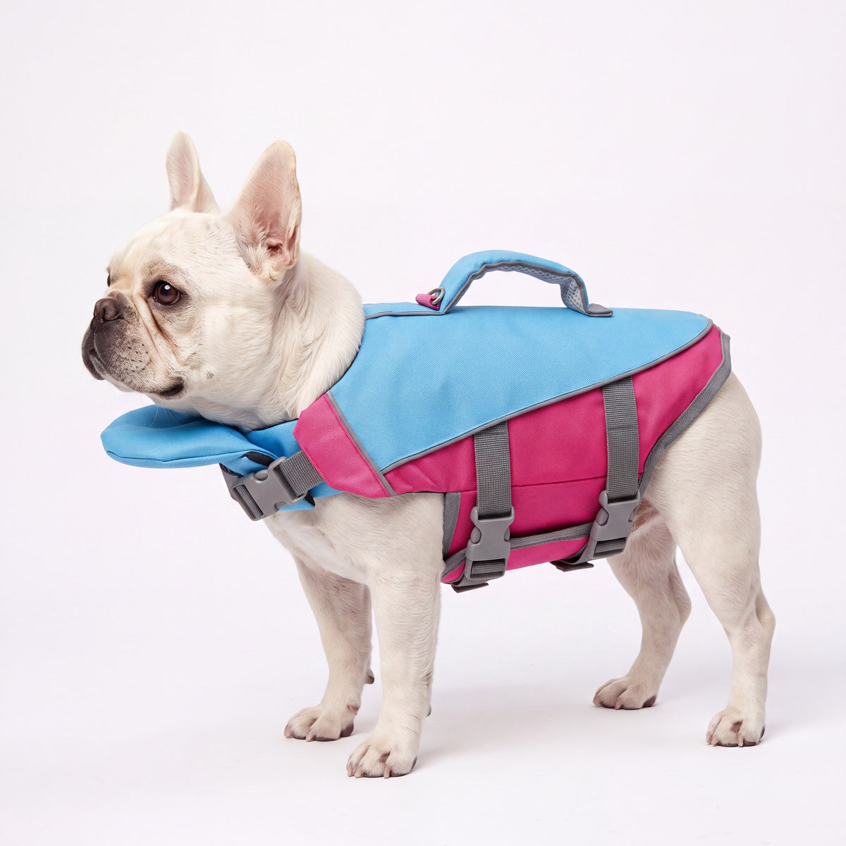 AquaPaw Life Jacket - Pink - AI product shot