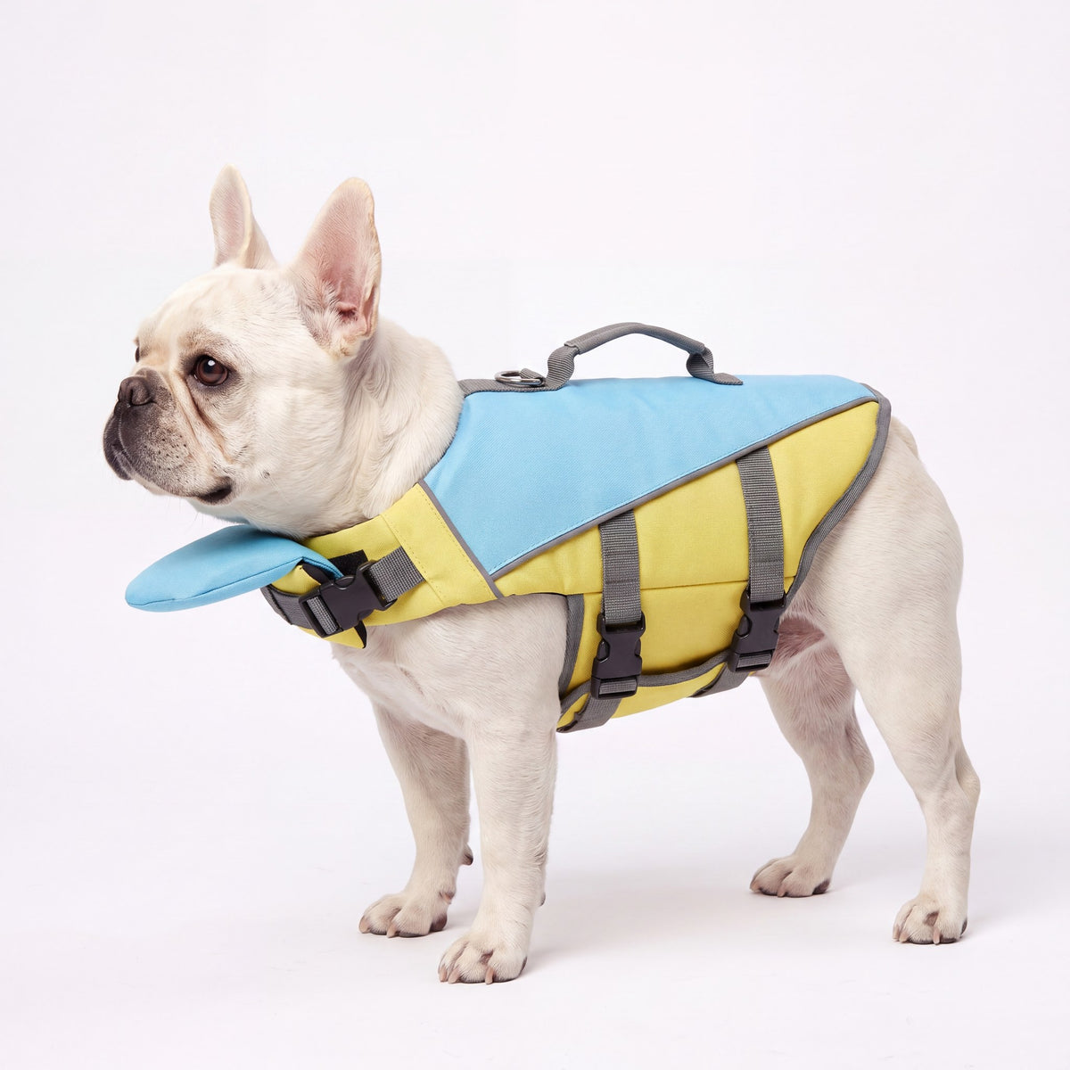 AquaPaw Life Jacket - Yellow - AI product shot