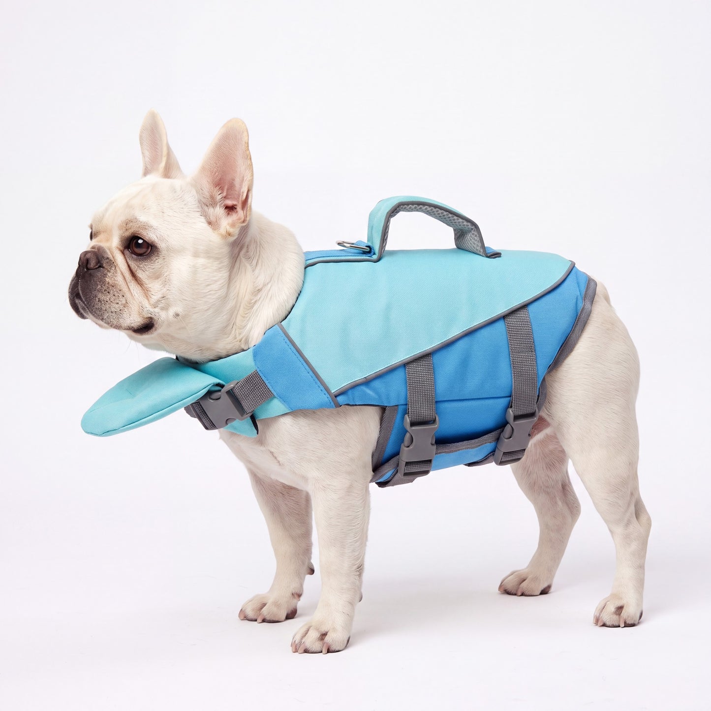 AquaPaw Life Jacket - Reflective Stripes Blue