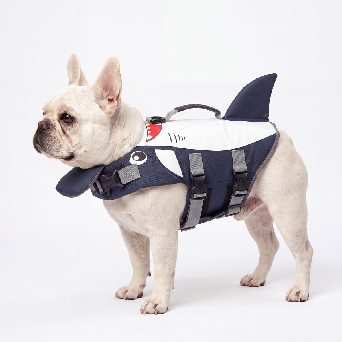 AquaPaw Life Jacket - Shark Style - AI product shot